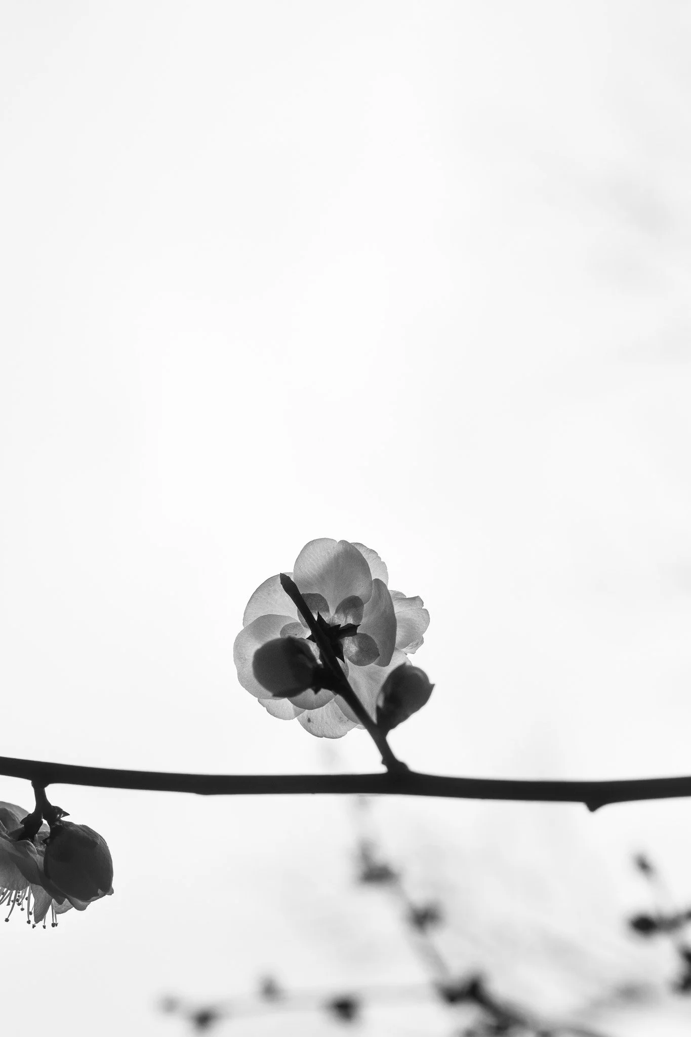 DSC02368.jpg