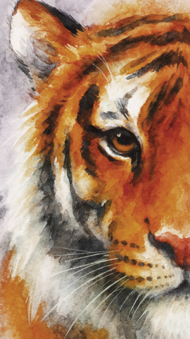 Tiger_Face.png
