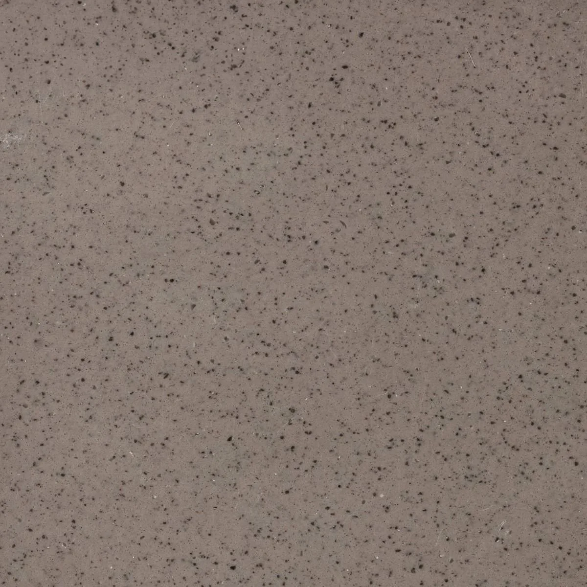 A soft brown, taupe benchtop material with black irregular specks. Meganite Cinder Concrete