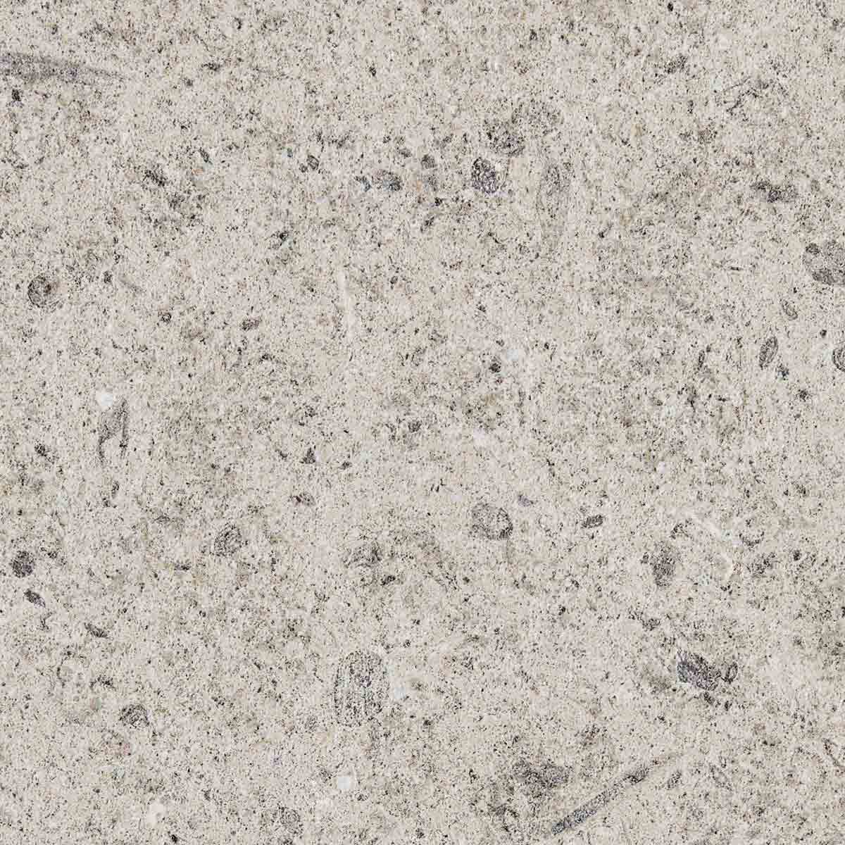 Close-up of a speckled, light-colored granite surface with small dark mineral deposits.