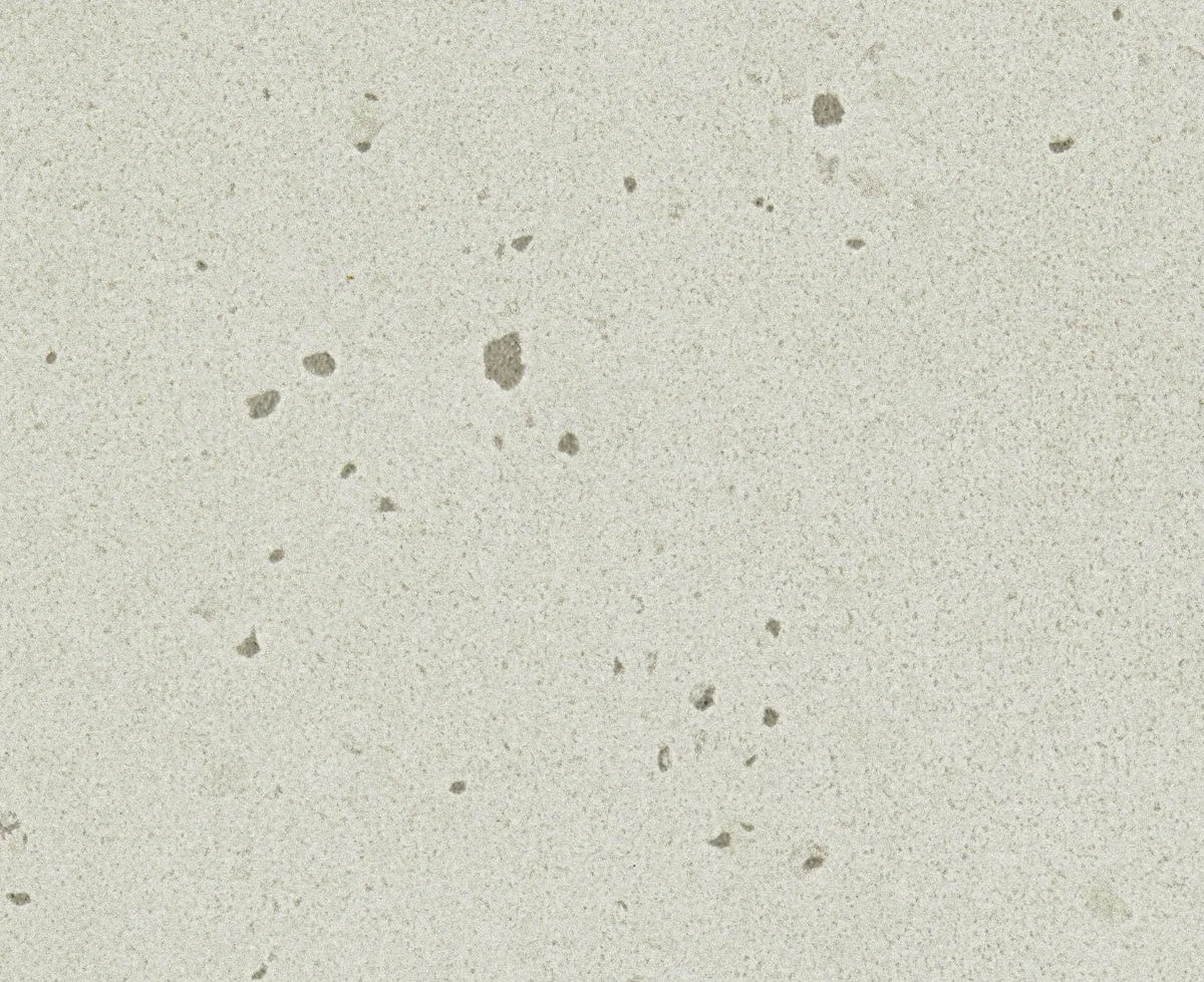 Close-up of a textured surface with small scattered dark spots.
