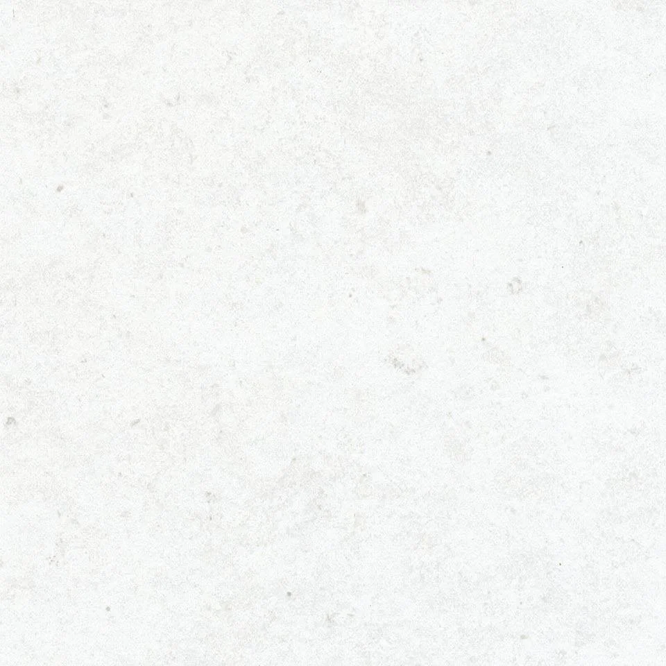Plain white background with faint texture and small specks.