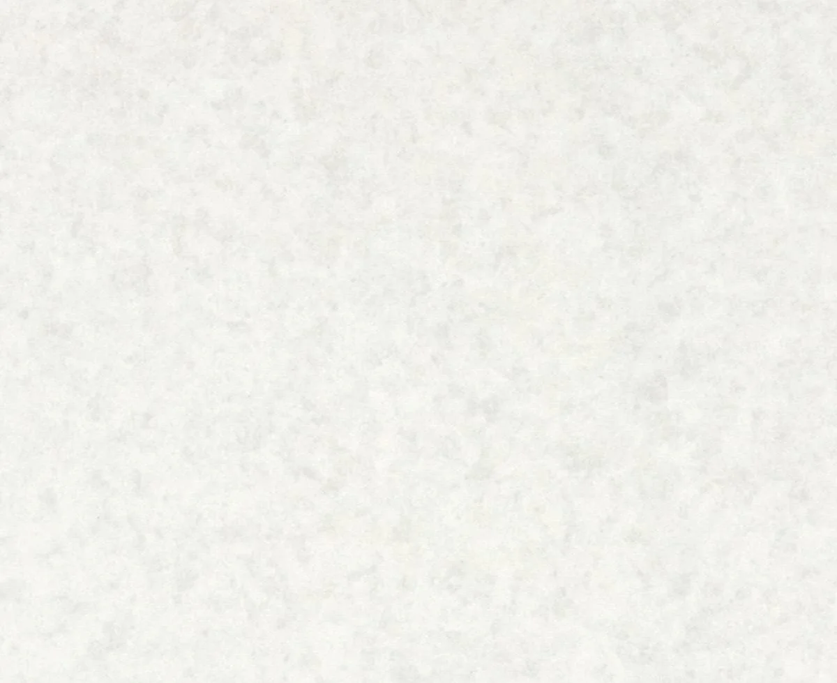 Plain white textured background with faint speckles.