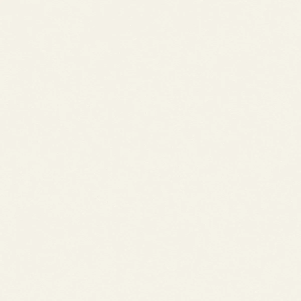 The image is a blank, light-colored (off-white or cream) background with no discernible objects or details.
