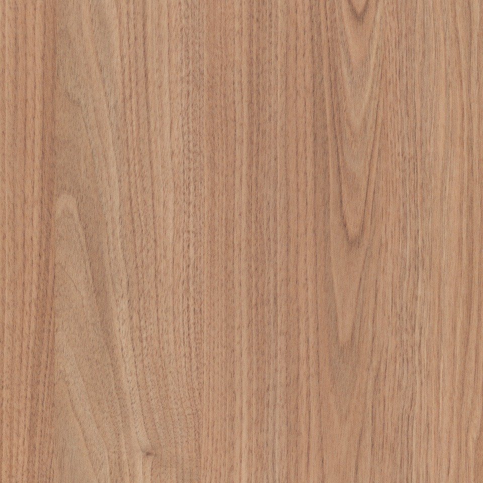Close-up of a wooden surface with natural grain and texture.