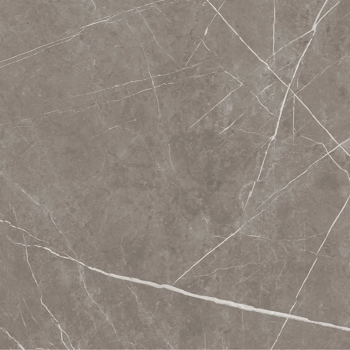 Close-up of a grey marble surface with white veining.