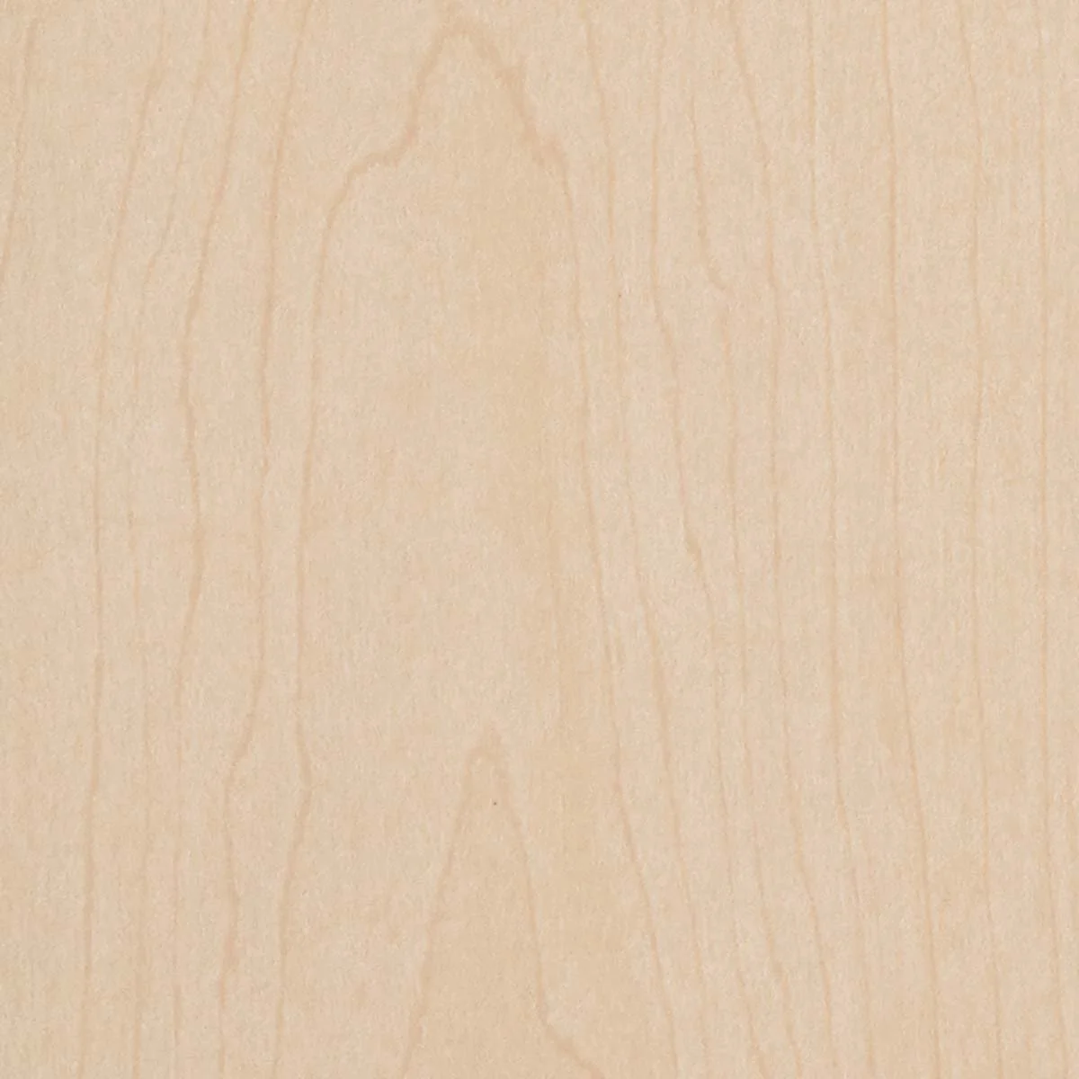 Close-up of a light-colored wood surface with visible grain patterns.