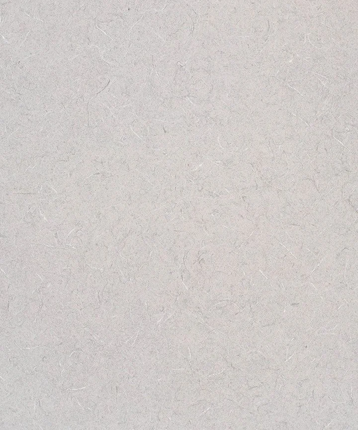 Plain, textured beige paper or fabric surface.