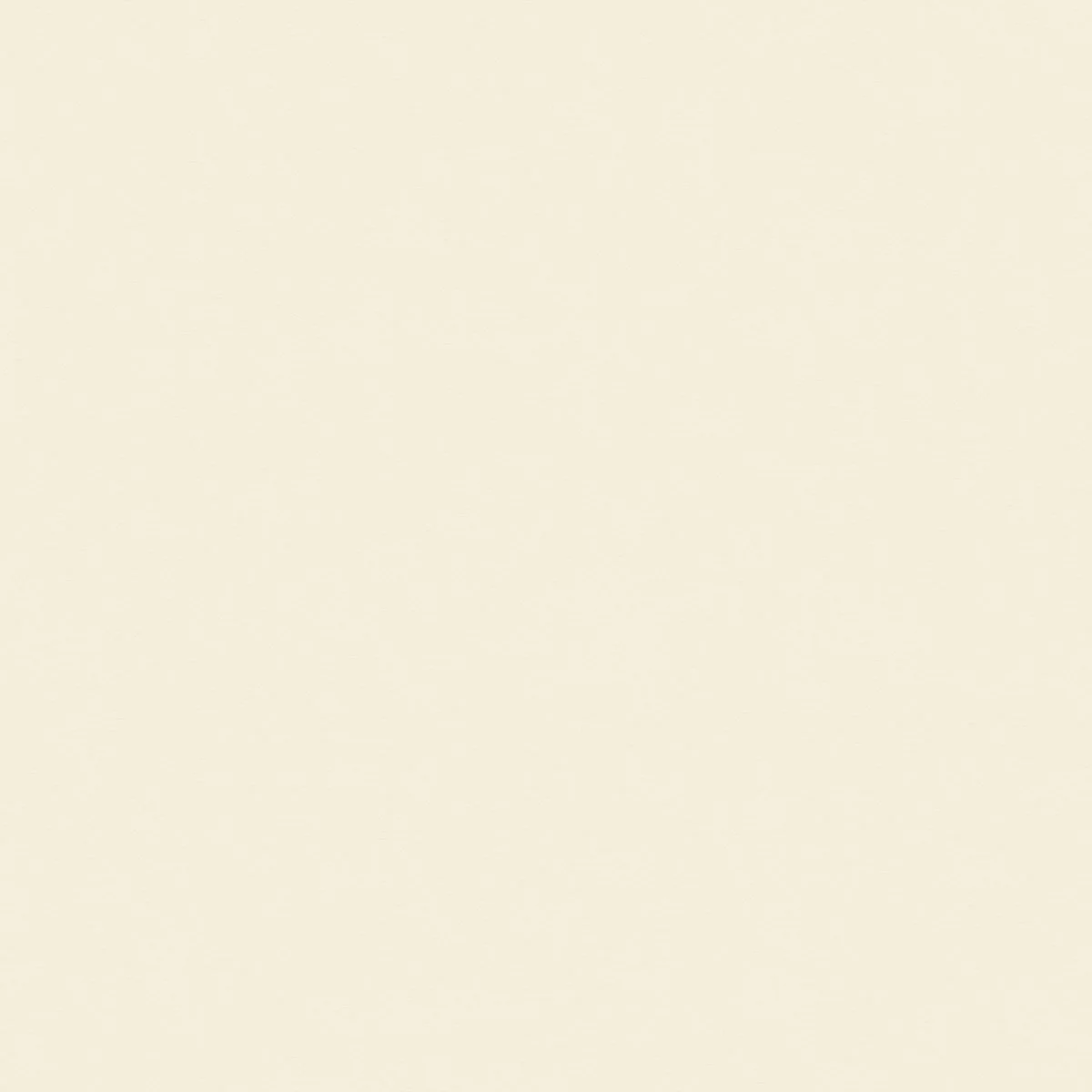Blank light beige background with subtle texture.