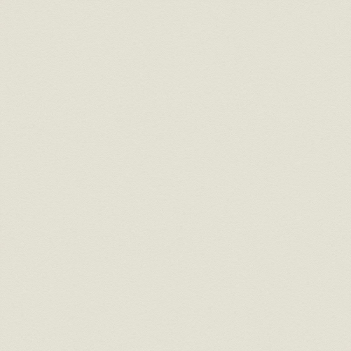 Plain light beige background with subtle texture.
