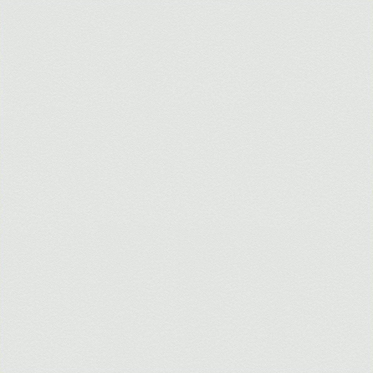 A blank light gray textured background.