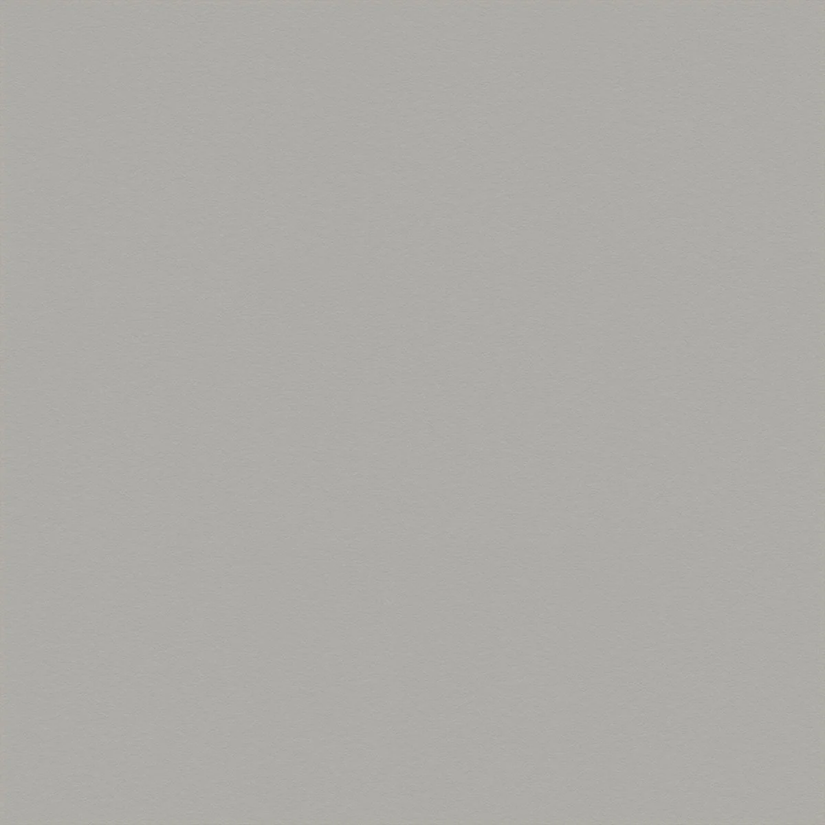 A plain, light gray textured background.