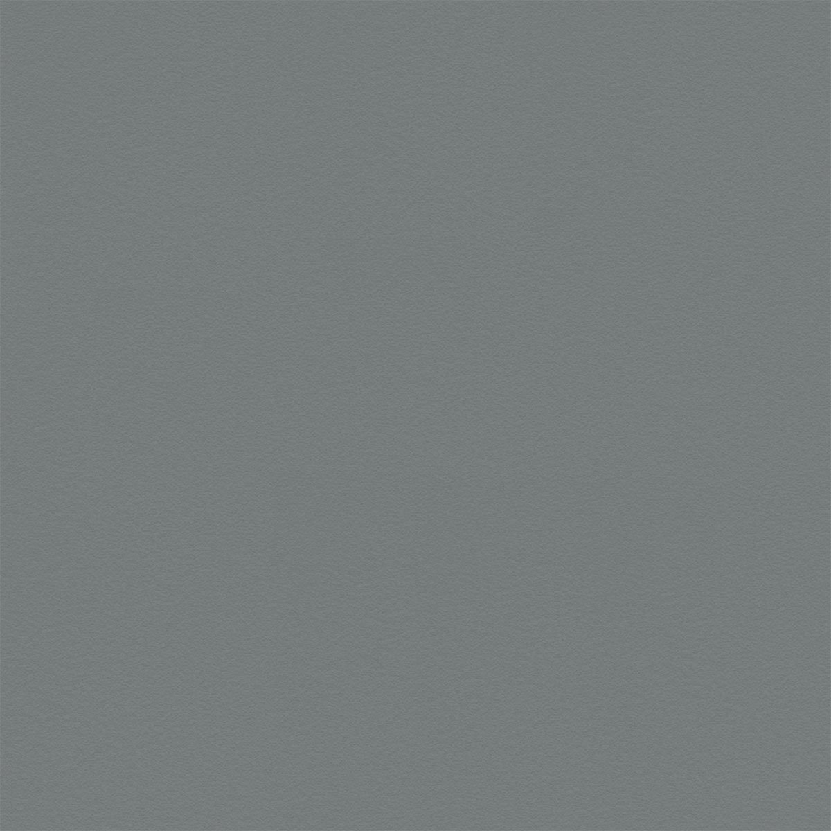 Solid gray textured background.