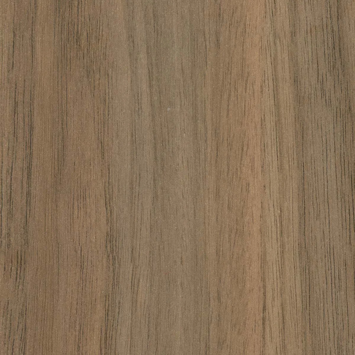 Close-up of a wooden surface with visible wood grain and texture.