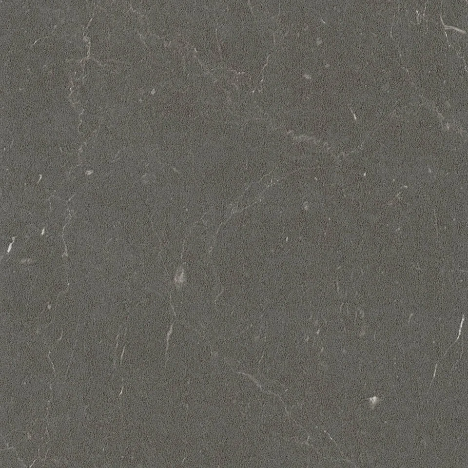 Close-up of a gray, textured stone surface with small white veins and specks.