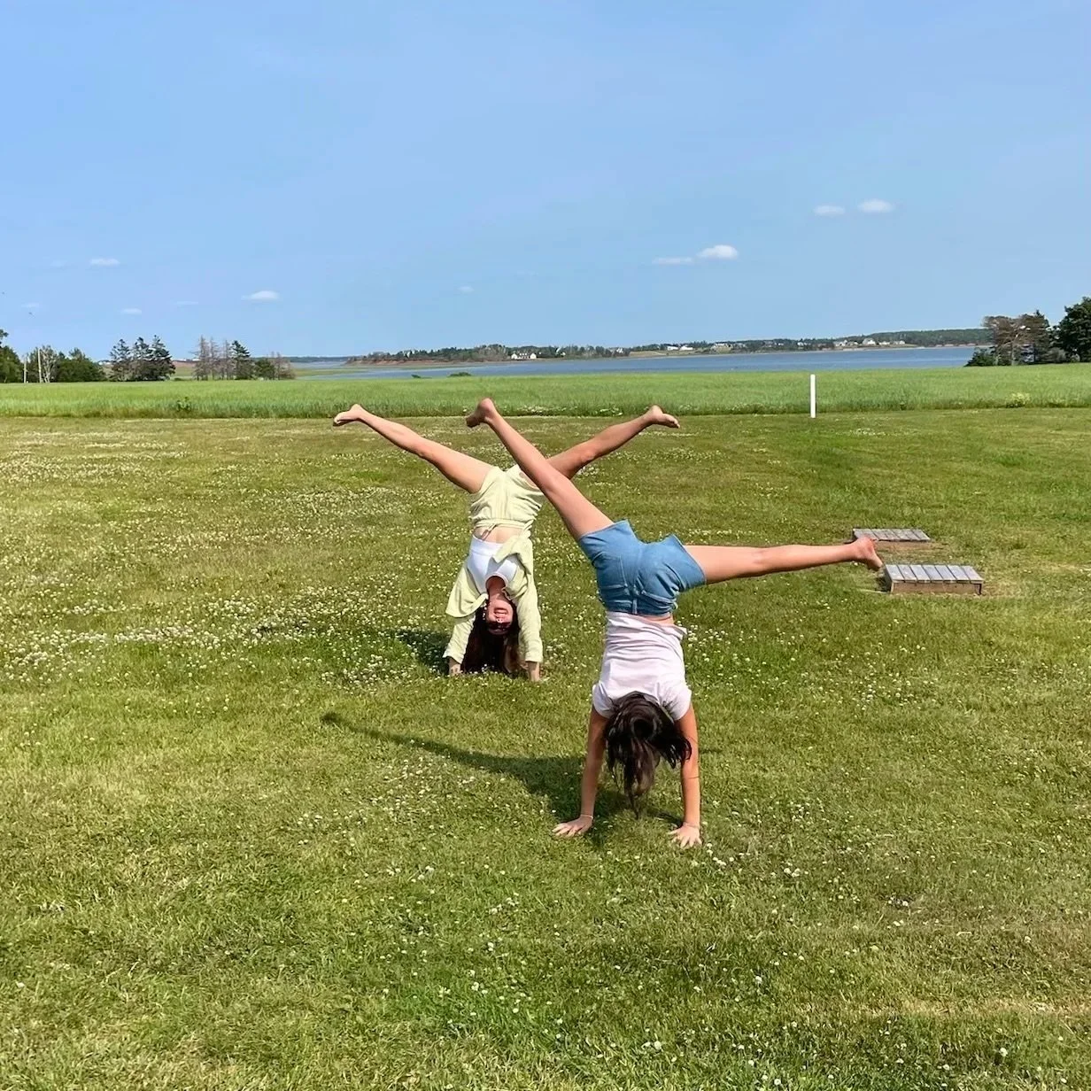 Two children are performing handstands on a grassy field outdoors, with one child upside down and the other upside down on one hand, in front of a scenic backdrop of green fields, water, and a blue sky.
