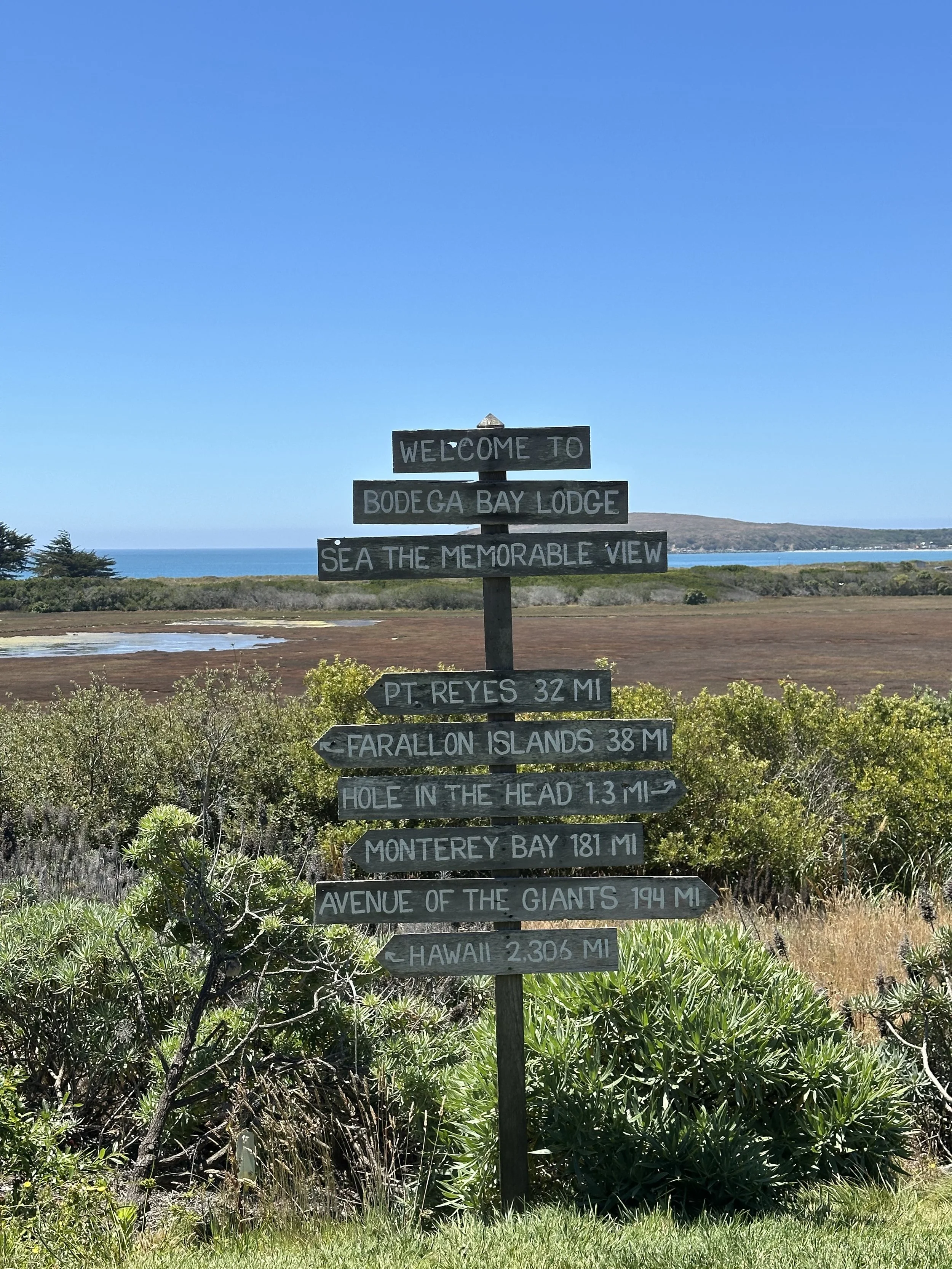 Copy of Photo Aug 05 2025, 12 52 35 PM.jpg