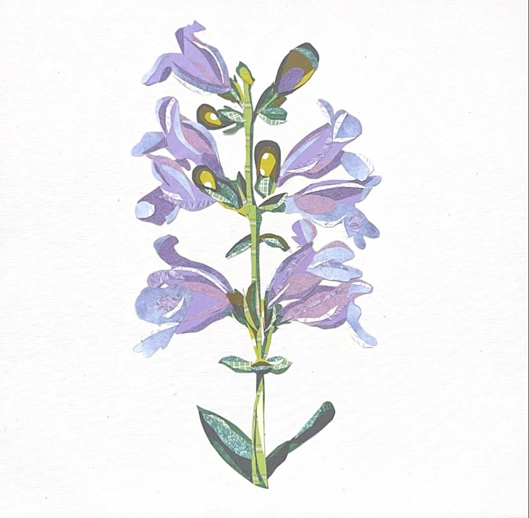 Faux Foxglove, 12 x 12"