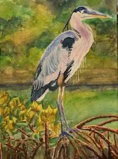 Blue Heron.jpg