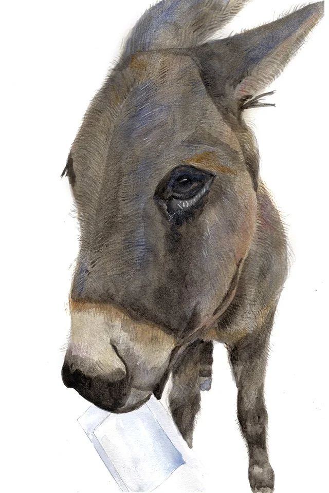 Mail Fraud, 8 x 12": Sweet Sophie, seen holding an envelope with the dreaded window in it, was included only because of her guilty face and desire to stay keyed in. Sophie was a curious girl who greeted my farm friend regularly. Her crime was the nee