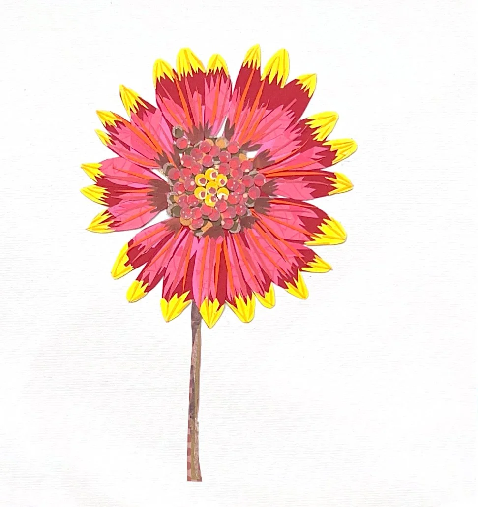 Indian Blanket, 12 x 12"