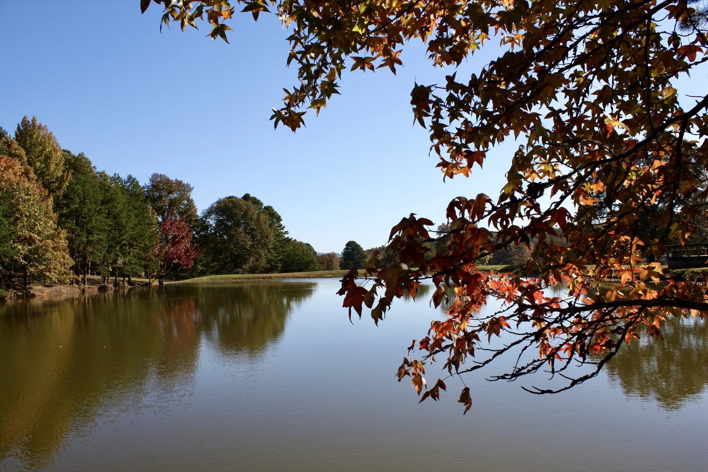 Pond in Fall.JPG
