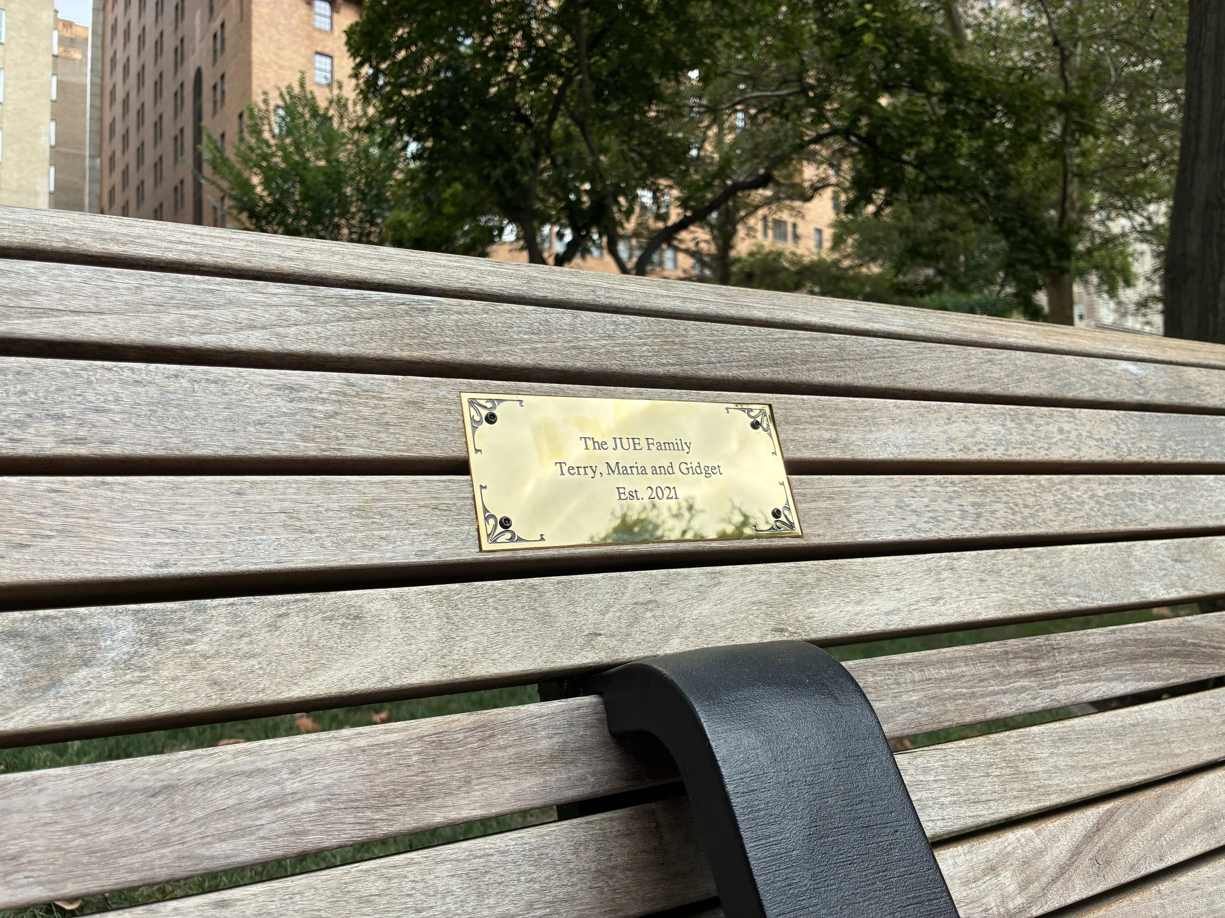 rittenhouse square bench.jpeg