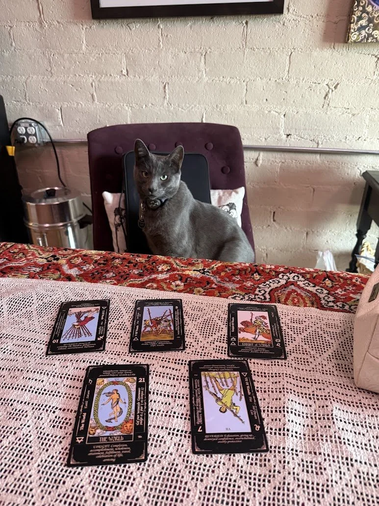 A black cat sitting at a table with tarot cards laid out in front of it, in a cozy room with a brick wall background.