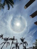 Sun halo in a partly cloudy sky, with palm trees and building structures underneath.