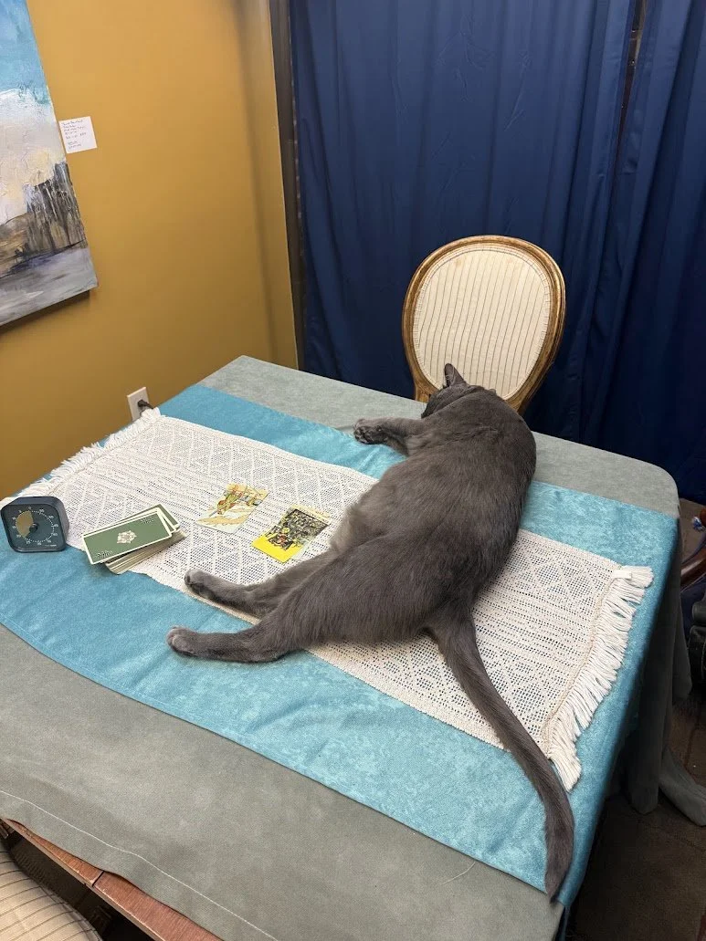 A gray cat lying on a table with tarot cards, a clock, and a decorative cloth, with a blue curtain and a vintage-style chair in the background.