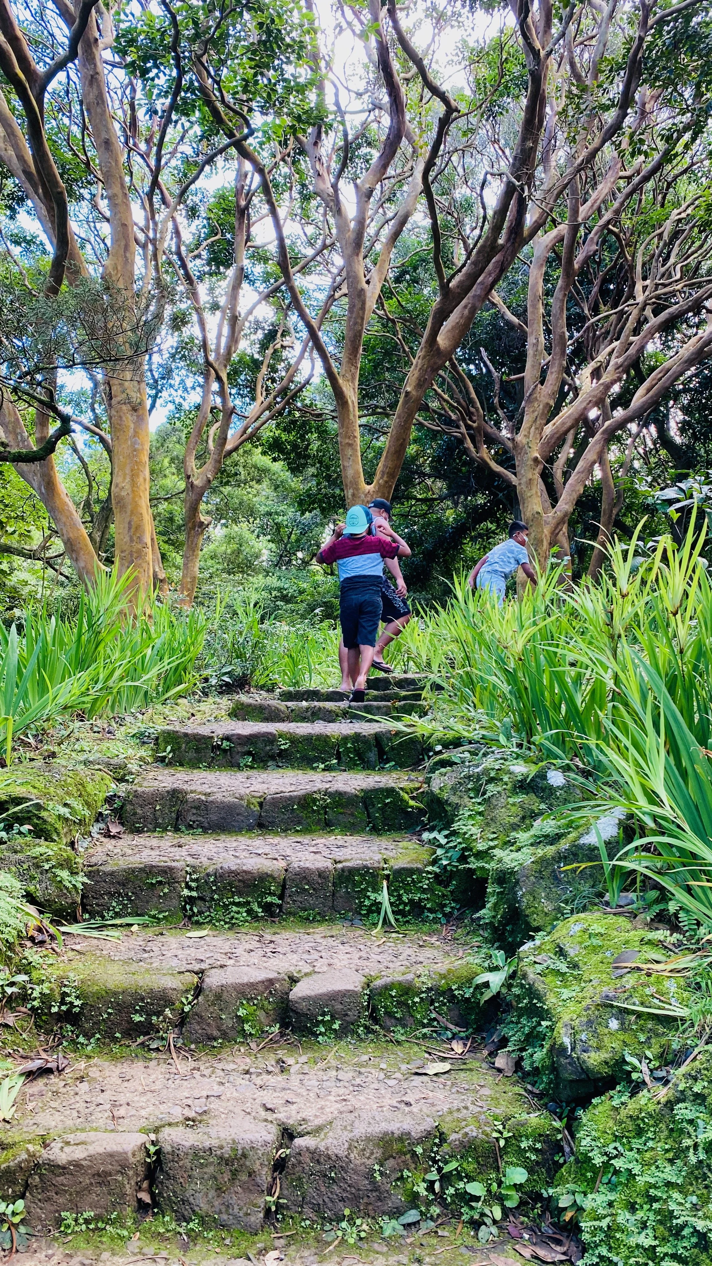 The Leaders Who Shaped Me