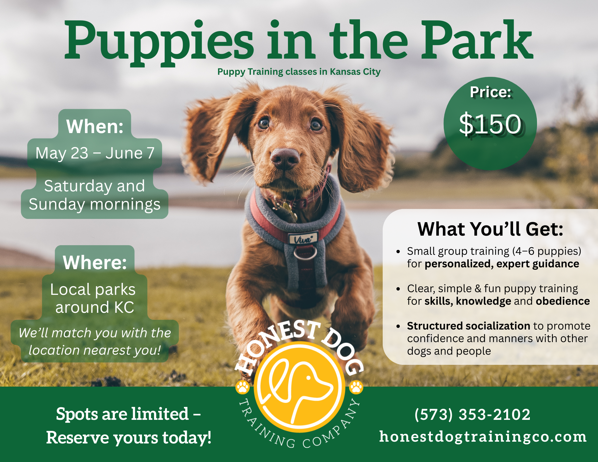 Puppies in the Park (website).png