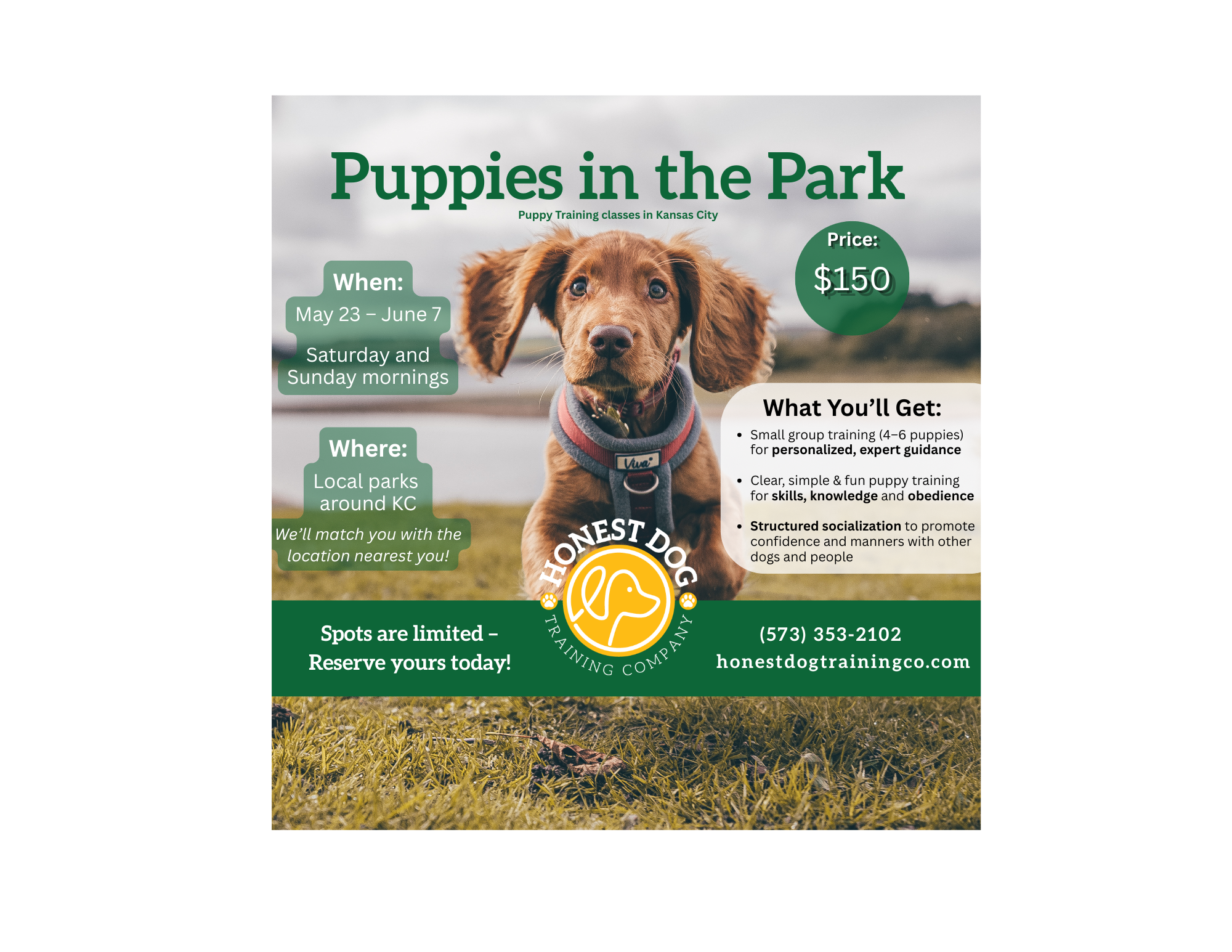 Puppies in the Park Website Formatted.png