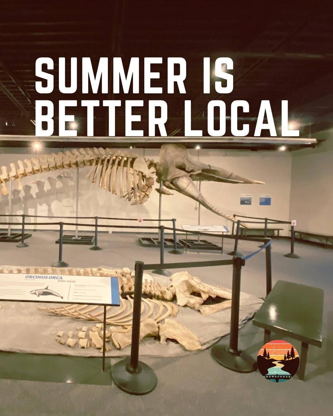 This is your reminder to check out the local spot you&rsquo;ve ignored for years.

There&rsquo;s more happening around Quinte West Ontario than people think.

Comment one local thing you want to do this summer

#quintewest #shoplocalquinte #bayofquin