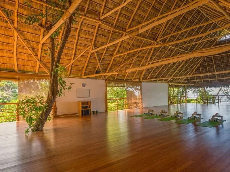 yoga-studio-jungle-studio-02.jpg