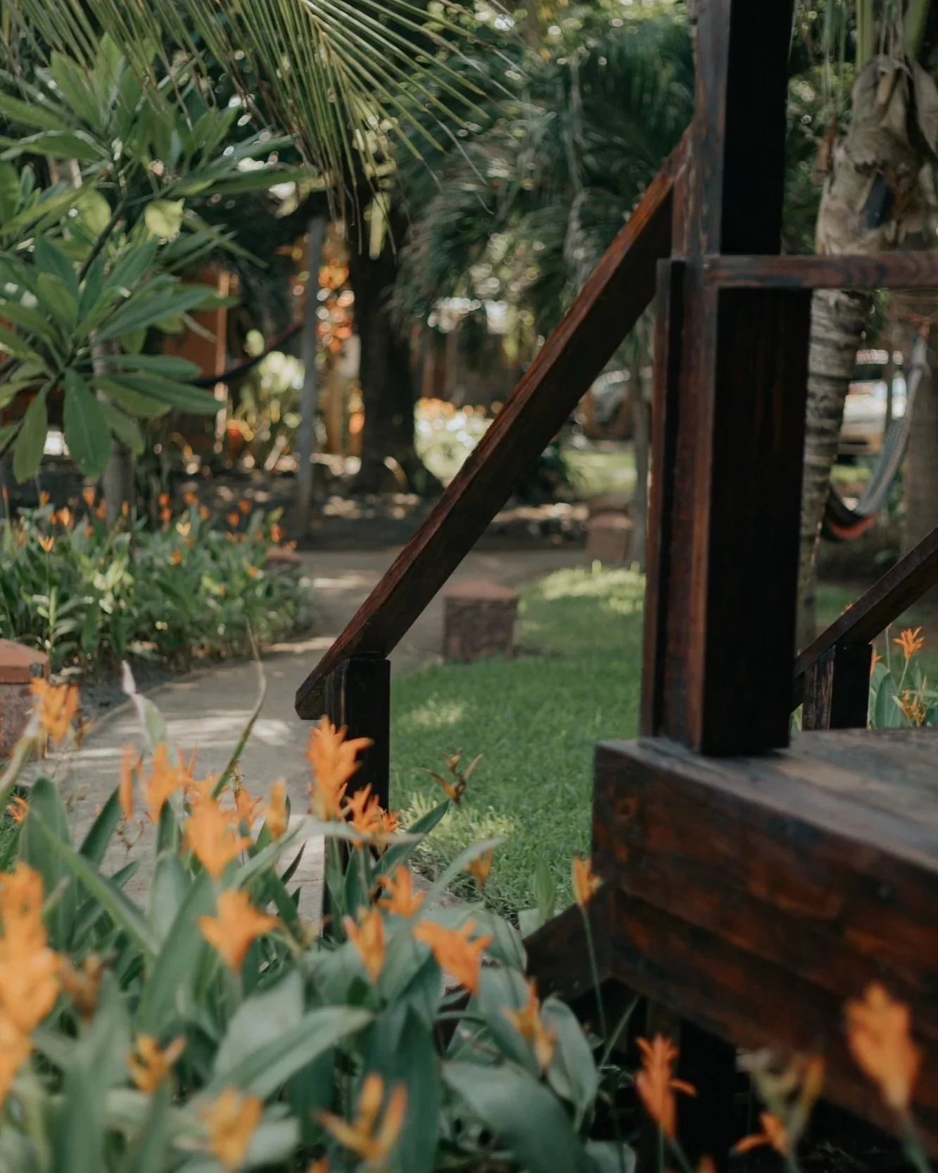 jungle-view-bungalow-el-salvador.jpg