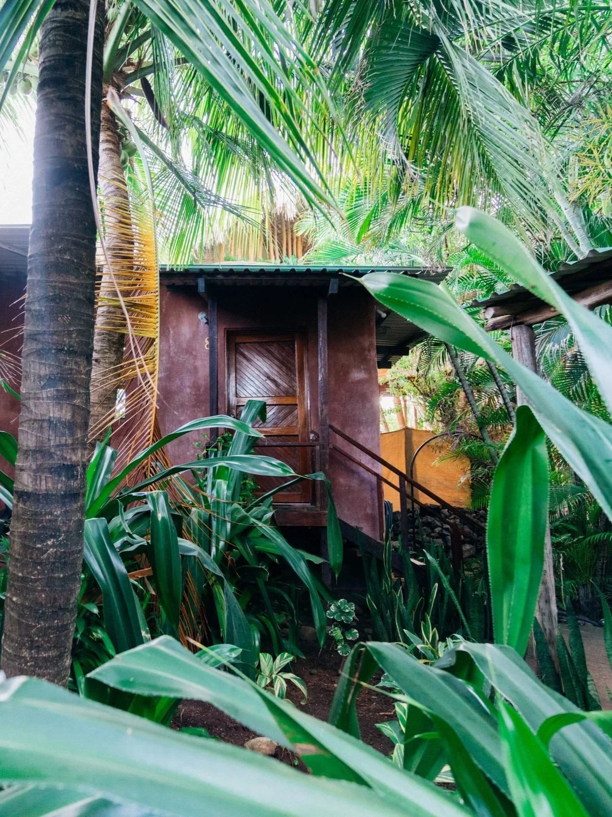 junge-treehouse-antiresort-el-salvador.jpg