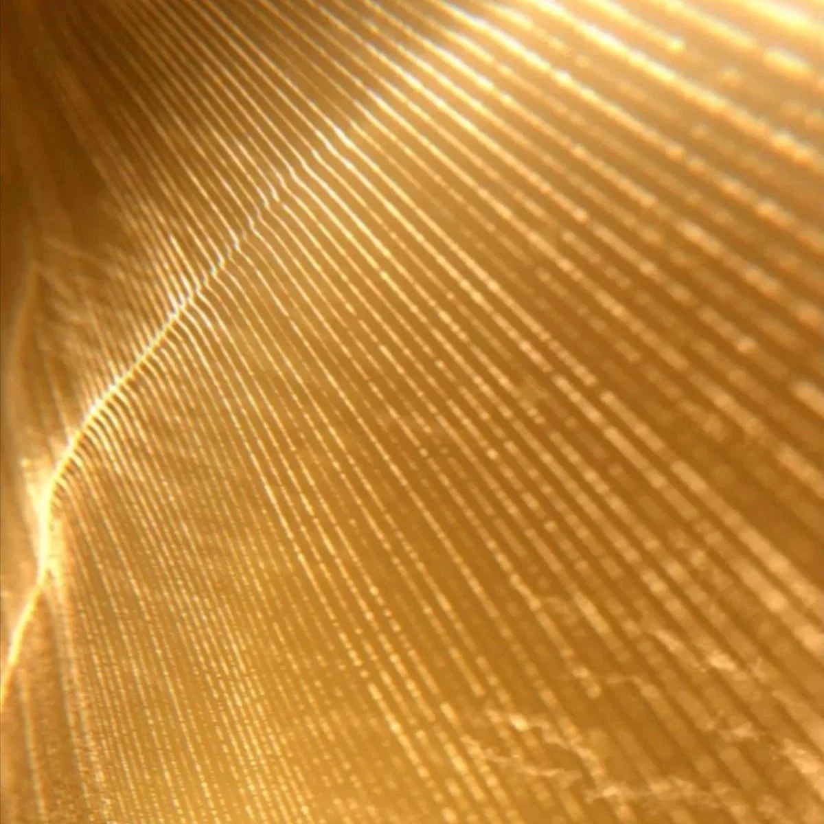 Close-up of a golden, textured, wire mesh or filament surface, showing parallel lines and a glowing appearance.