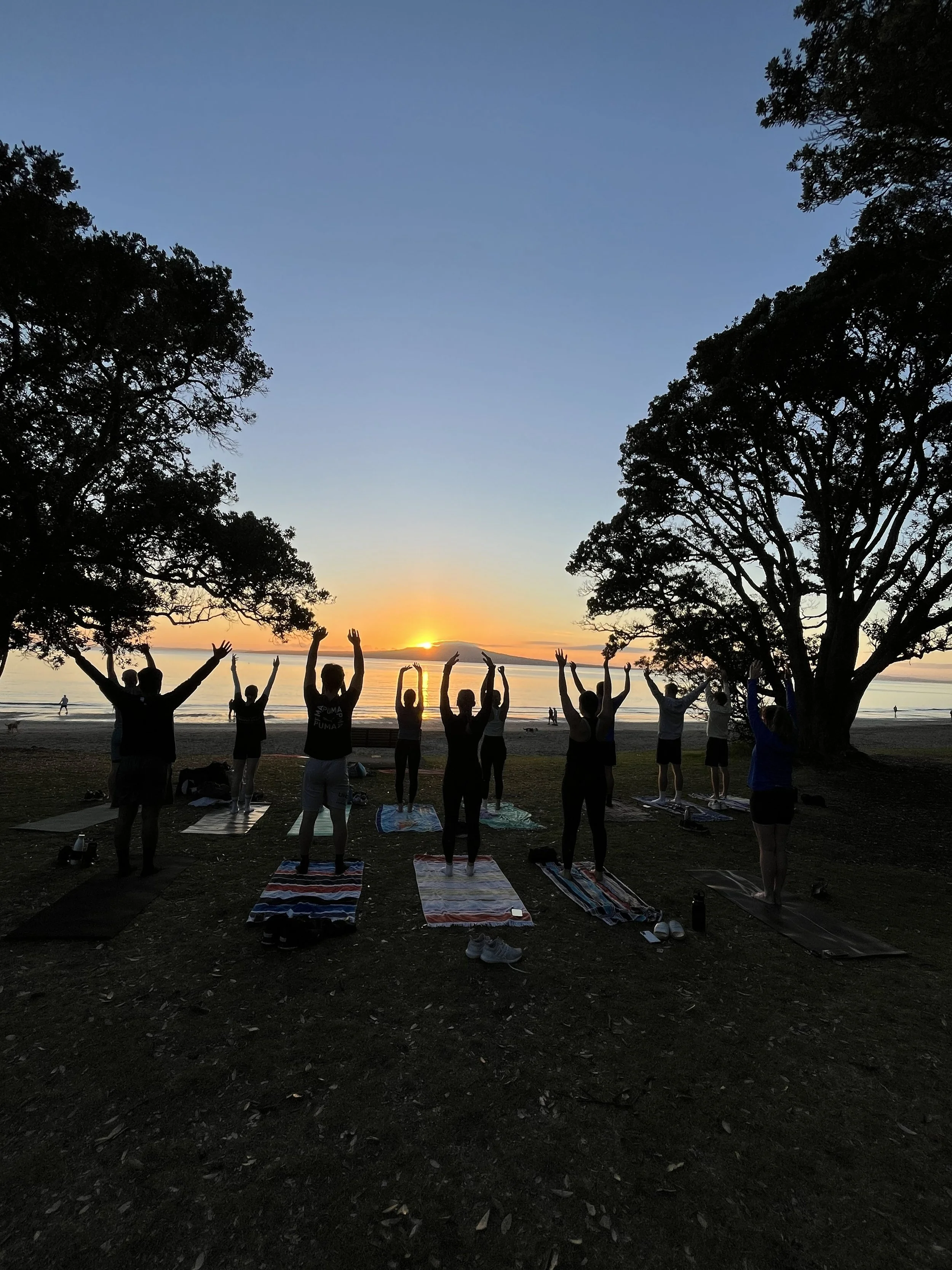 Group of people practicing yoga outdoors at sunset on a beach, standing on mats with arms raised, between trees with the ocean and setting sun in the background.