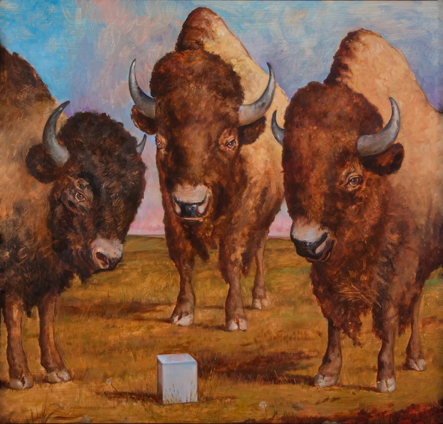 Bison and Box — MARK BULLEN