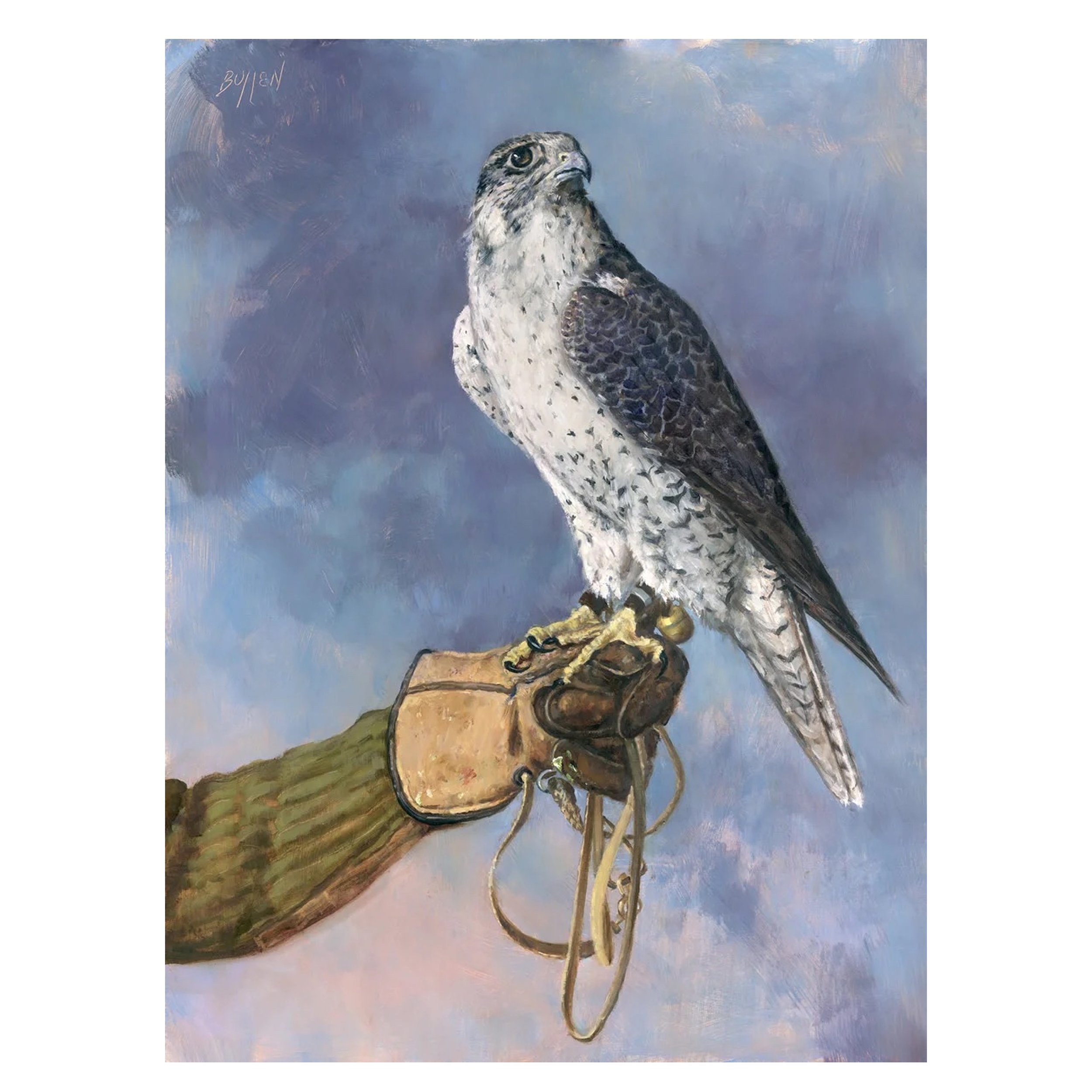 Tiercel Gyr - Magik.jpg