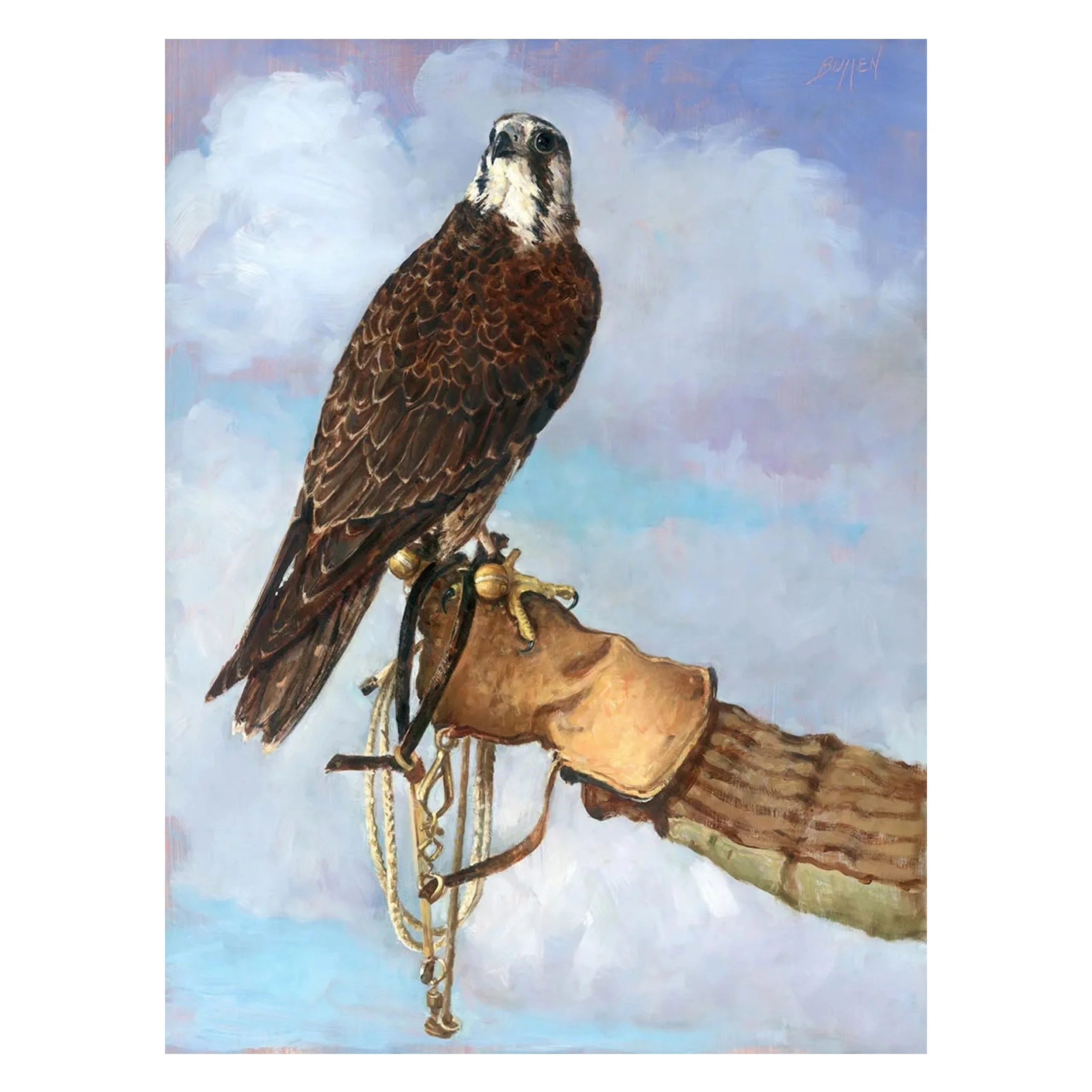 Tundra falcon - Cadabra.jpg