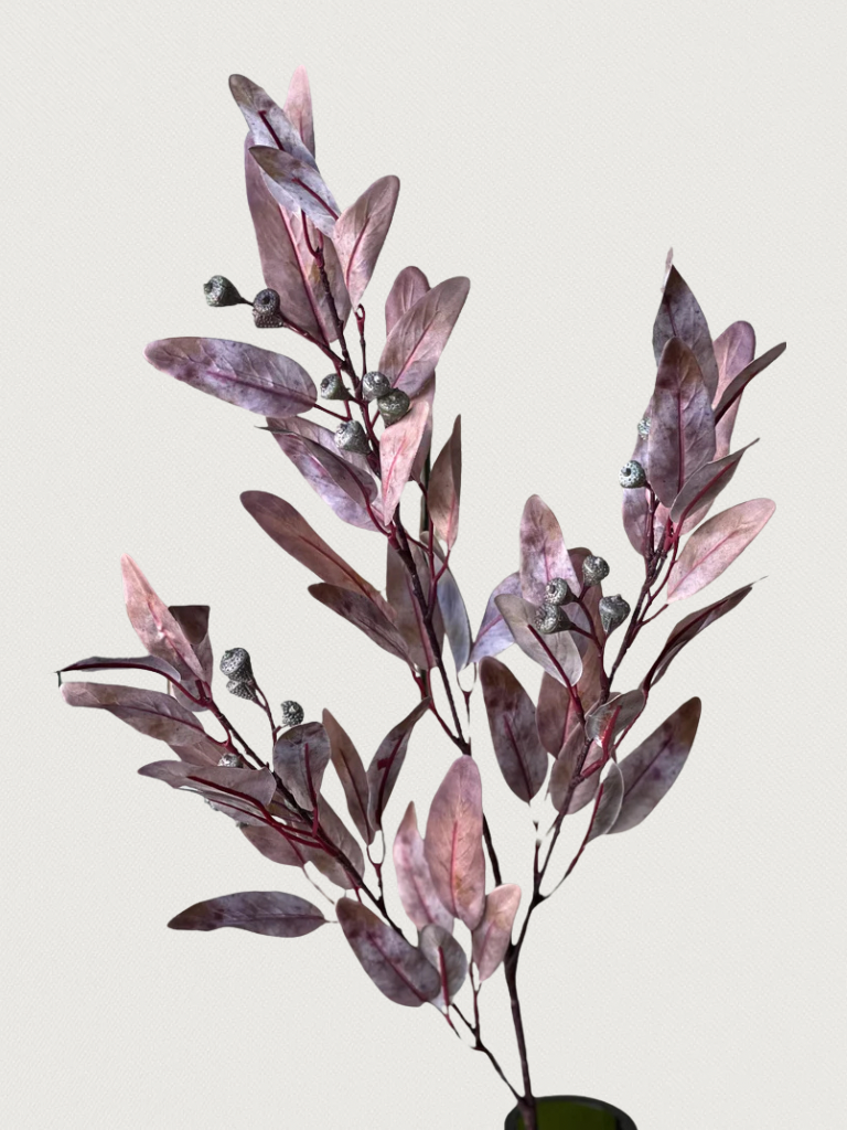 Untitled design - 1.png