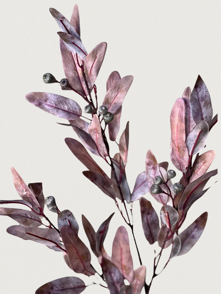 Untitled design - 2.png