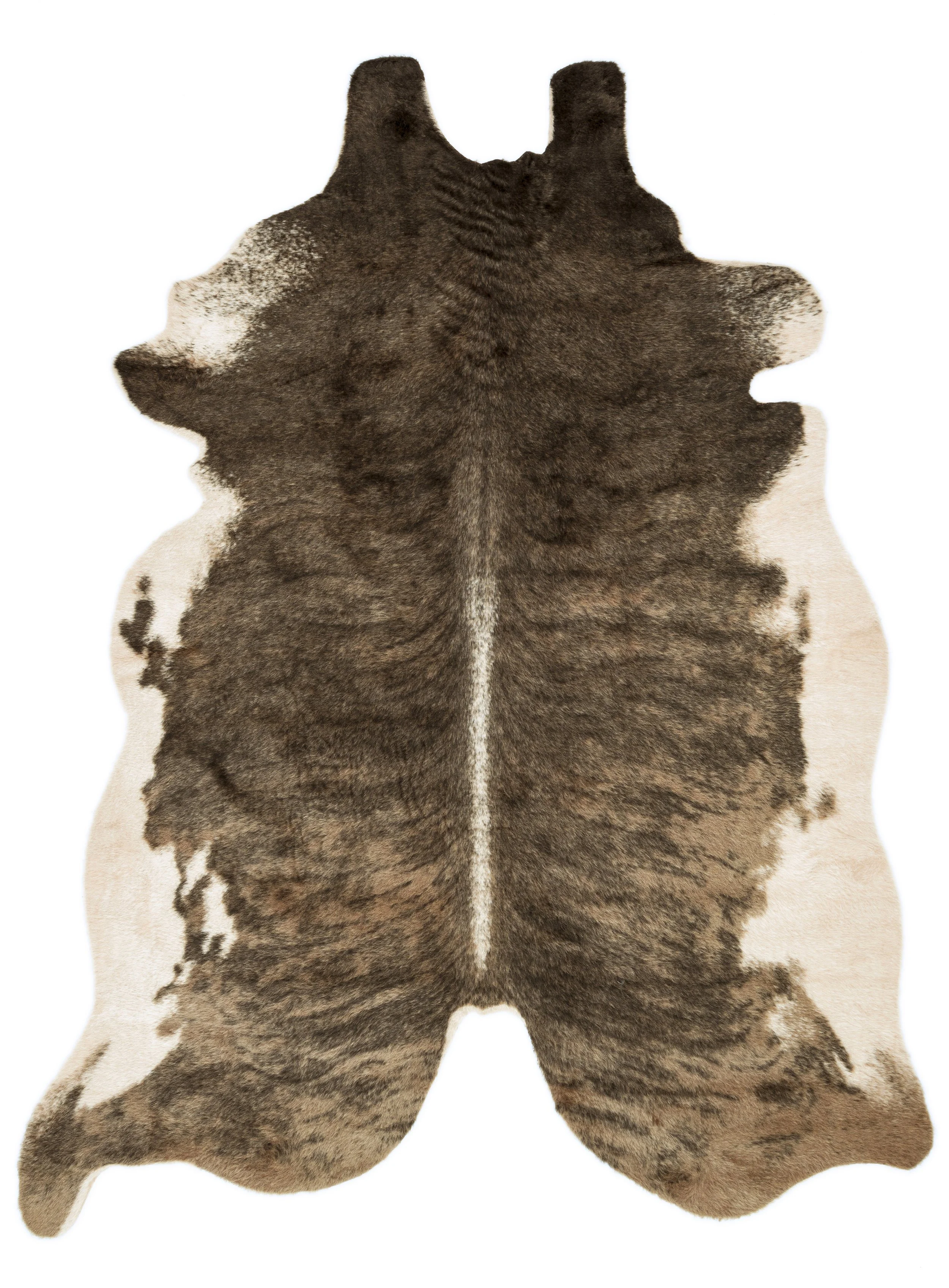 Camel/Beige Grand Canyon Loloi Rug