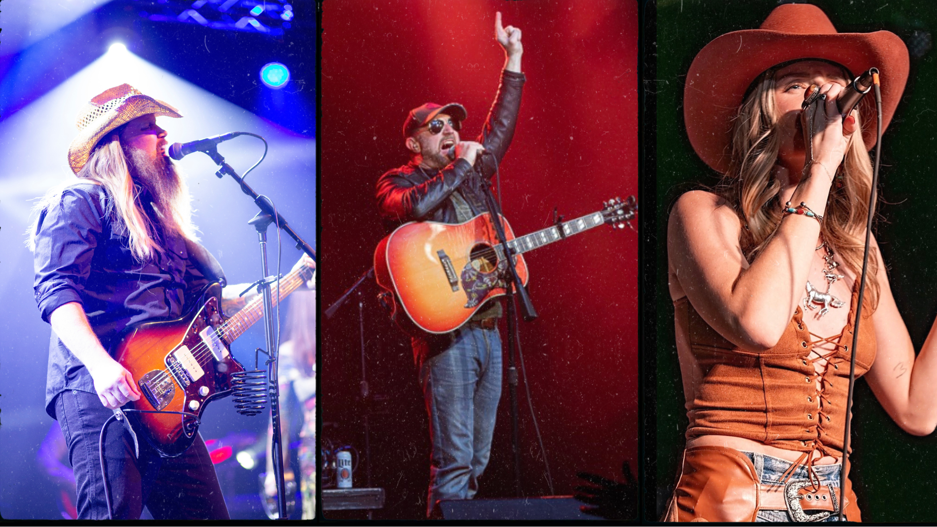 Photo of the cover bands