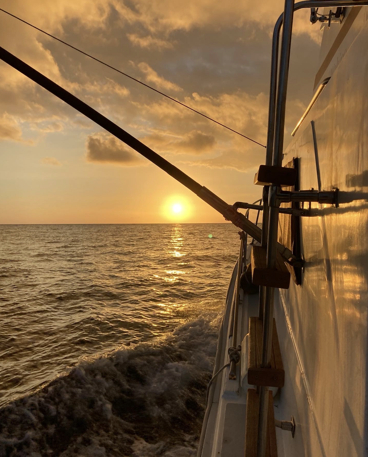 Screen Shot 2026-01-09 at 6.50.45 PM.png