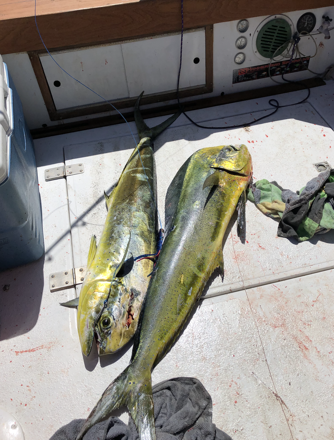 Screen Shot 2026-01-09 at 6.54.53 PM.png