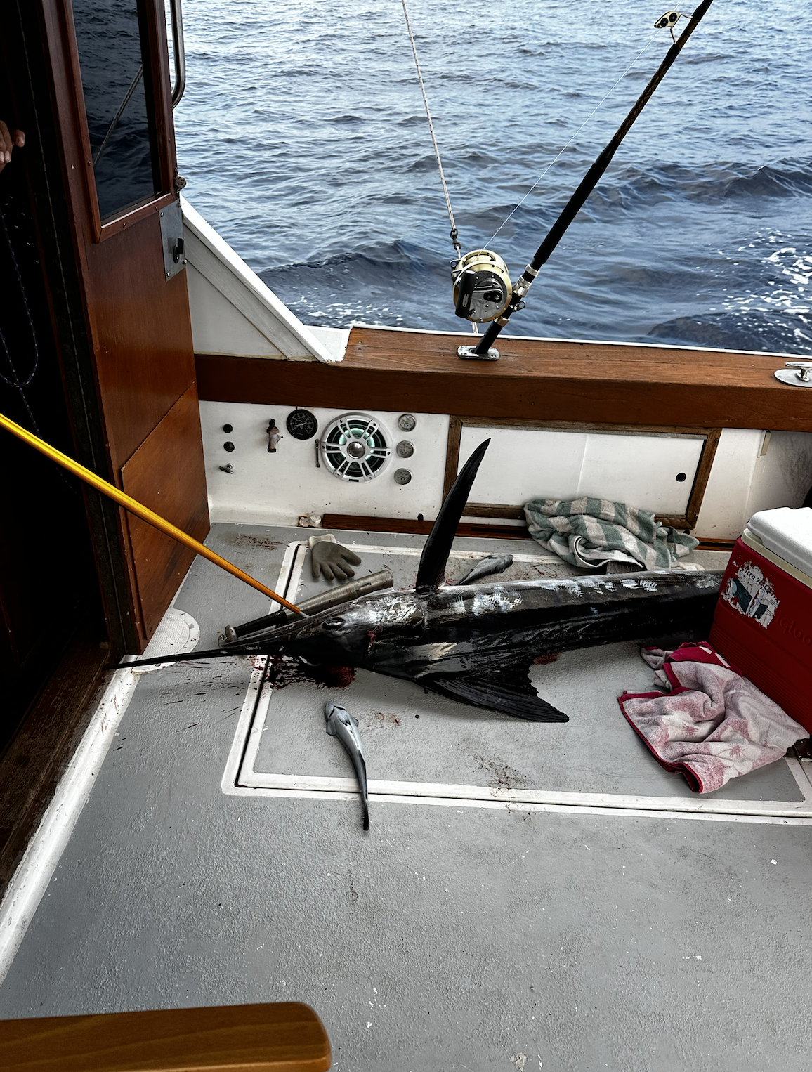 Screen Shot 2026-01-09 at 6.46.11 PM.png