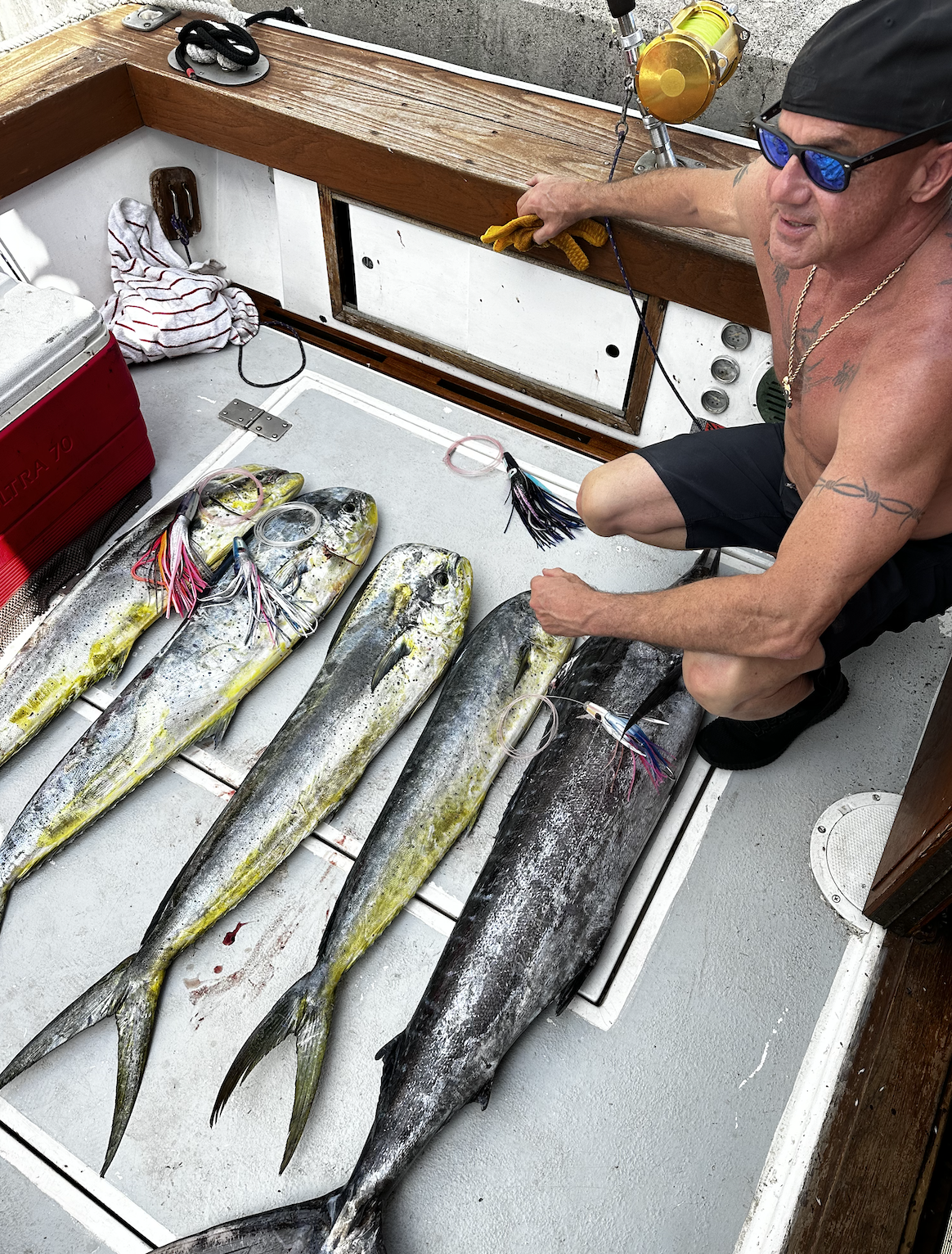 Screen Shot 2026-01-09 at 6.49.32 PM.png